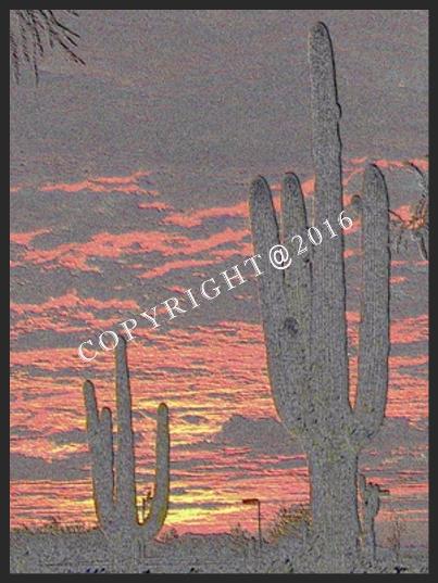 I1709 Twilight Cactus